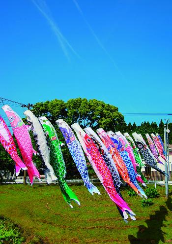 大谷川の鯉のぼり