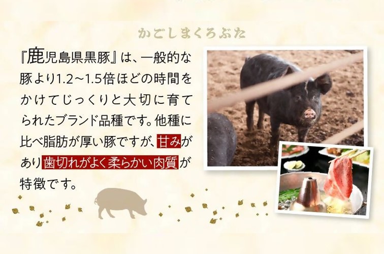 株式会社JA食肉かごしま南薩工場提供の画像です。
