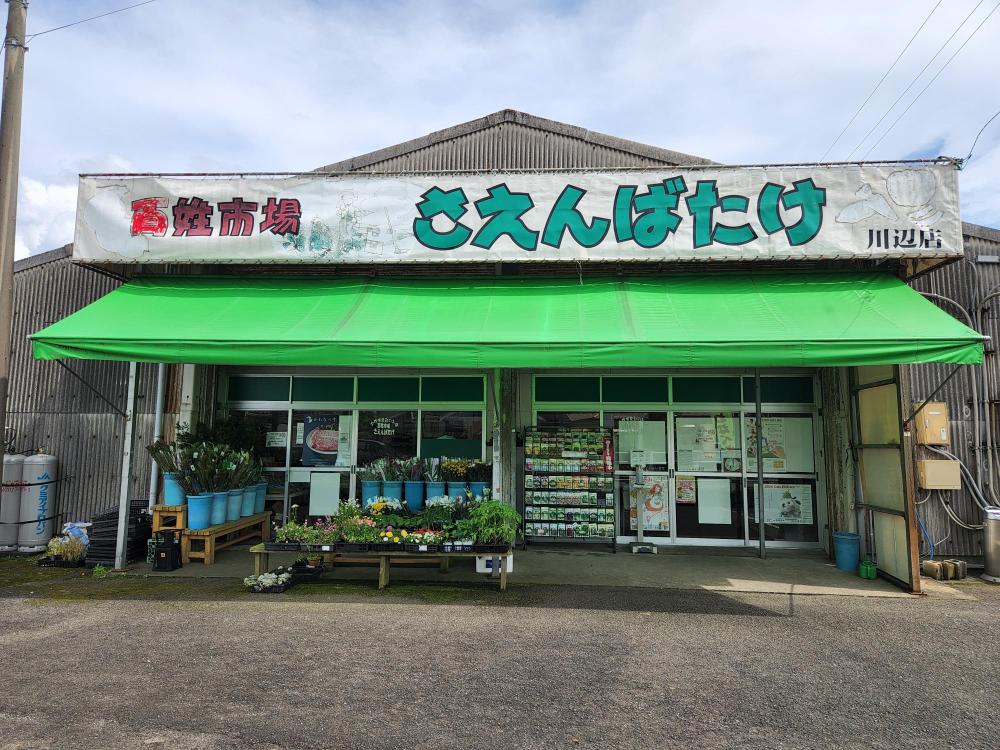 さえんばたけの画像です。