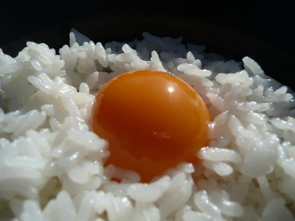 たまごの菊ちゃんの卵の写真です。
