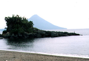 浜辺から撮影された、木々を蓄えた岩礁とその奥に見える桜島の写真