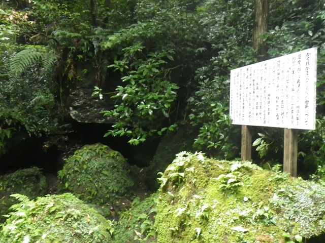 鬱蒼とした木々の奥に洞穴が見え、手前には案内板が立っている盗人穴の外観写真