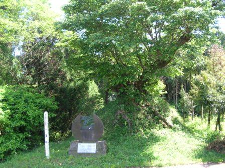 草木に囲まれた場所で、土台に円形の石碑が立っている一里塚の写真