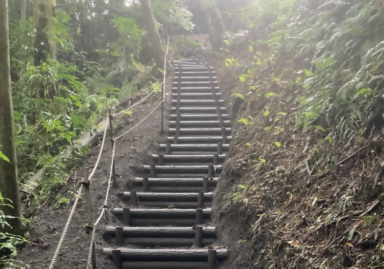 盗人穴整備状況