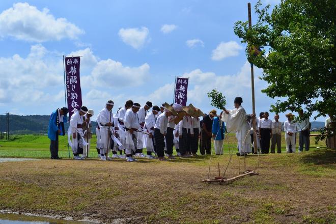 青空の下水田が広がる農道で、玉串奉奠を捧げる白装束の神職と一同に頭を下げる御田植祭りの関係者の方々の写真