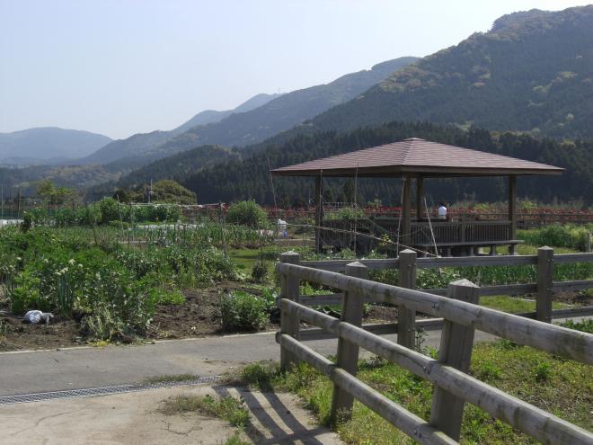 広大な山並みを背景に、周囲にたくさんの畑で囲まれた東屋が建っている川辺ふれあい農園の写真