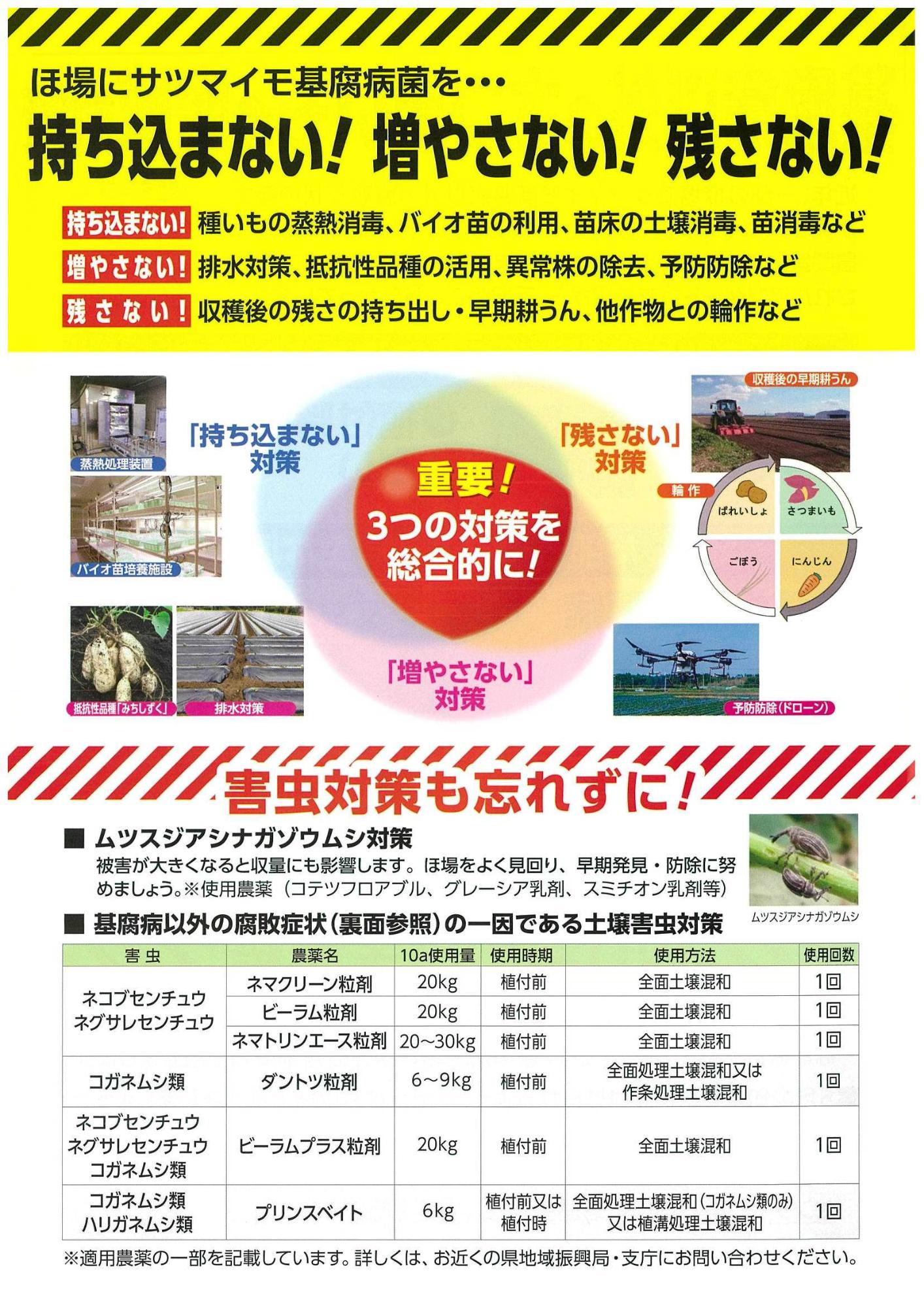 さつまいも虫害・その他腐敗症チラシ1