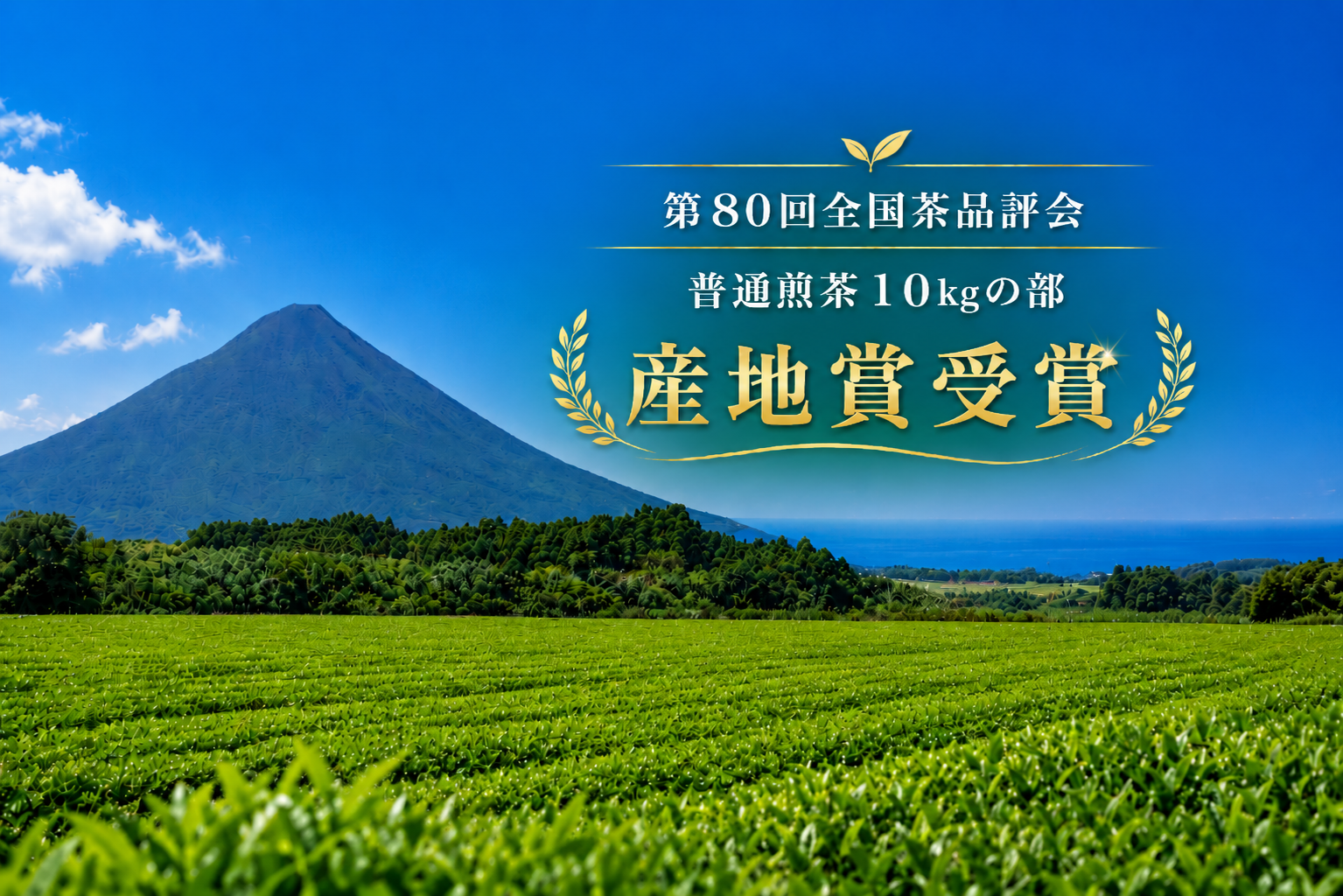 全国茶品評会5連覇