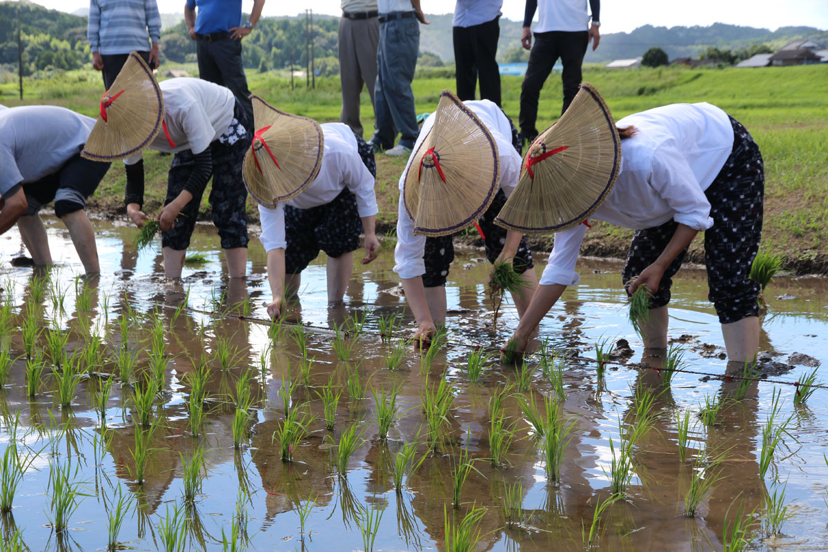 飯倉神社の御田植祭り