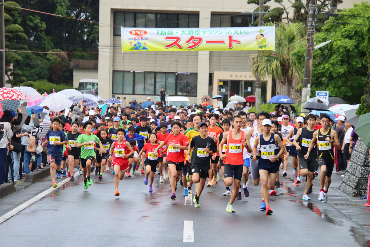 新茶・大野岳マラソンinえい