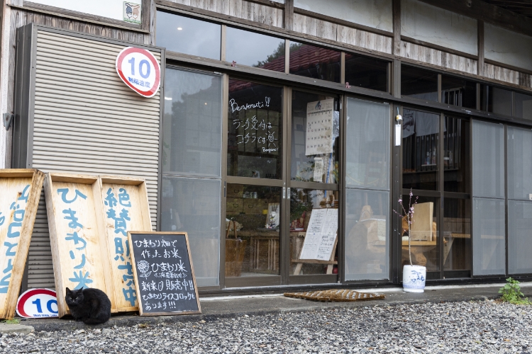 外観の様子