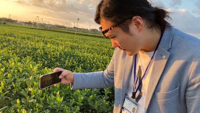 茶畑でお茶の葉をスマートフォンで撮影している南九州市地域おこし協力隊・窪拓摩さんの写真