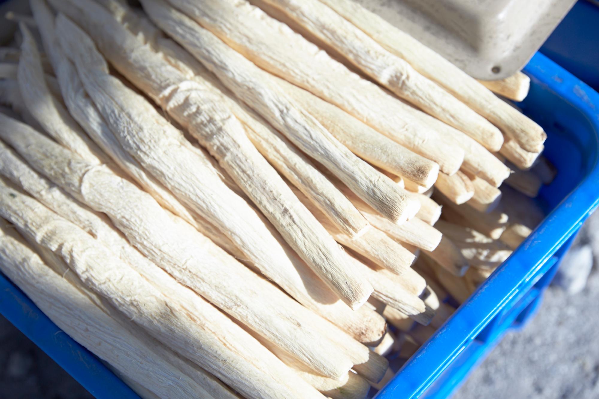 daikon_yagura2