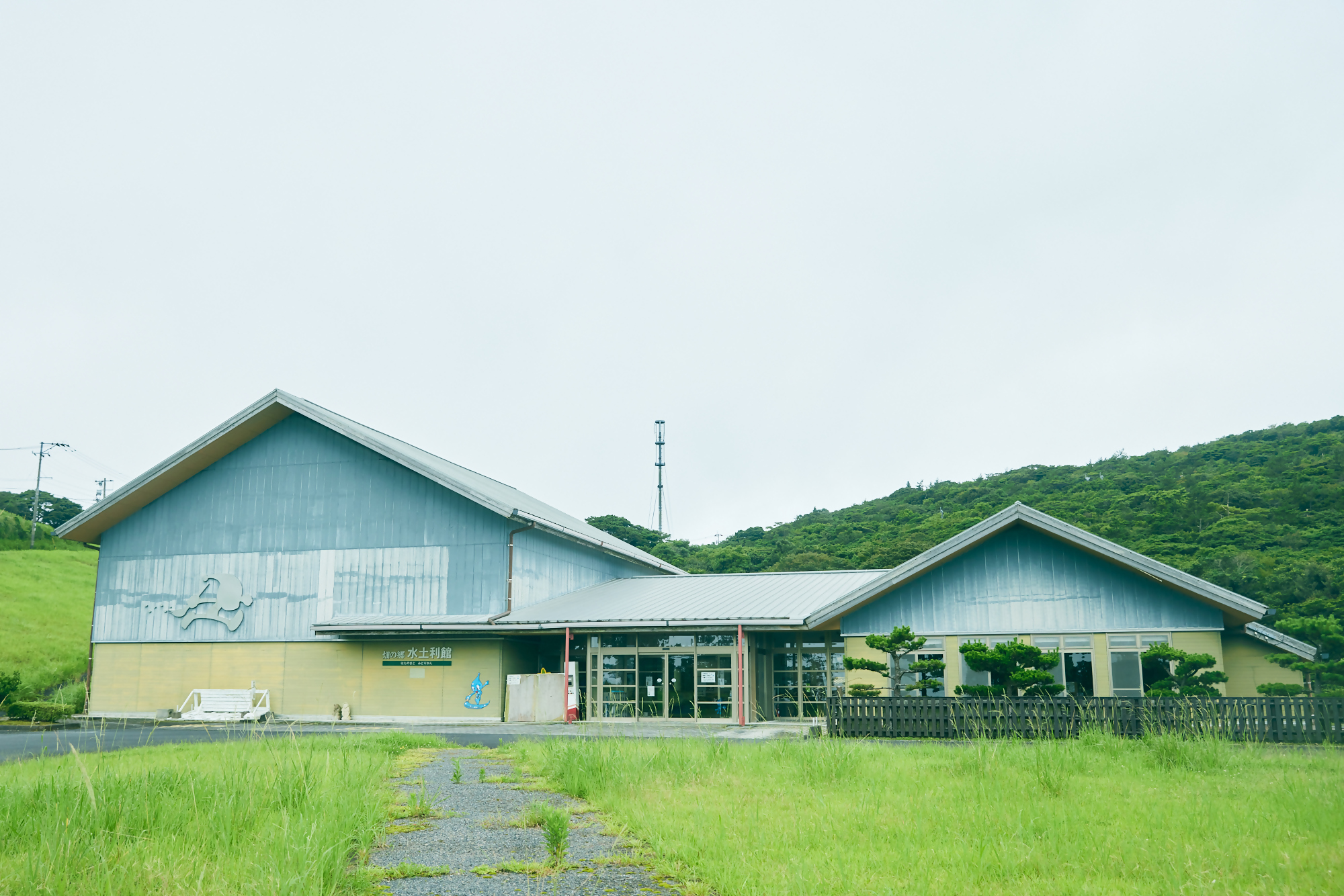 midorikan4
