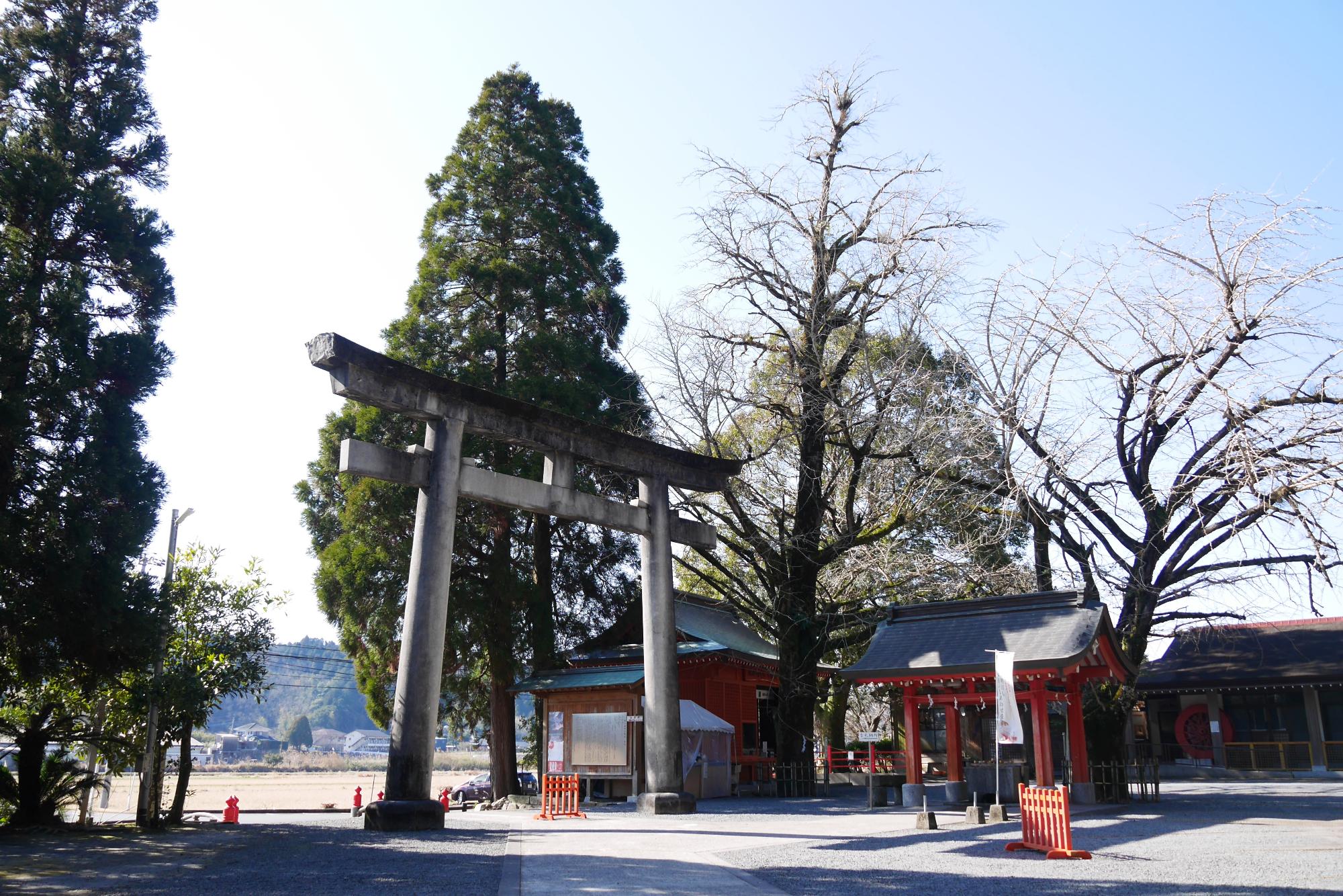 toyotamahime2