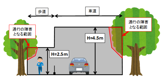 2本の木の間に男の人と車が並び、歩道の場合(高さ2.5メートル)と車道の場合(高さ4.5メートル)の通行上支障となる枝木範囲を示したイラスト