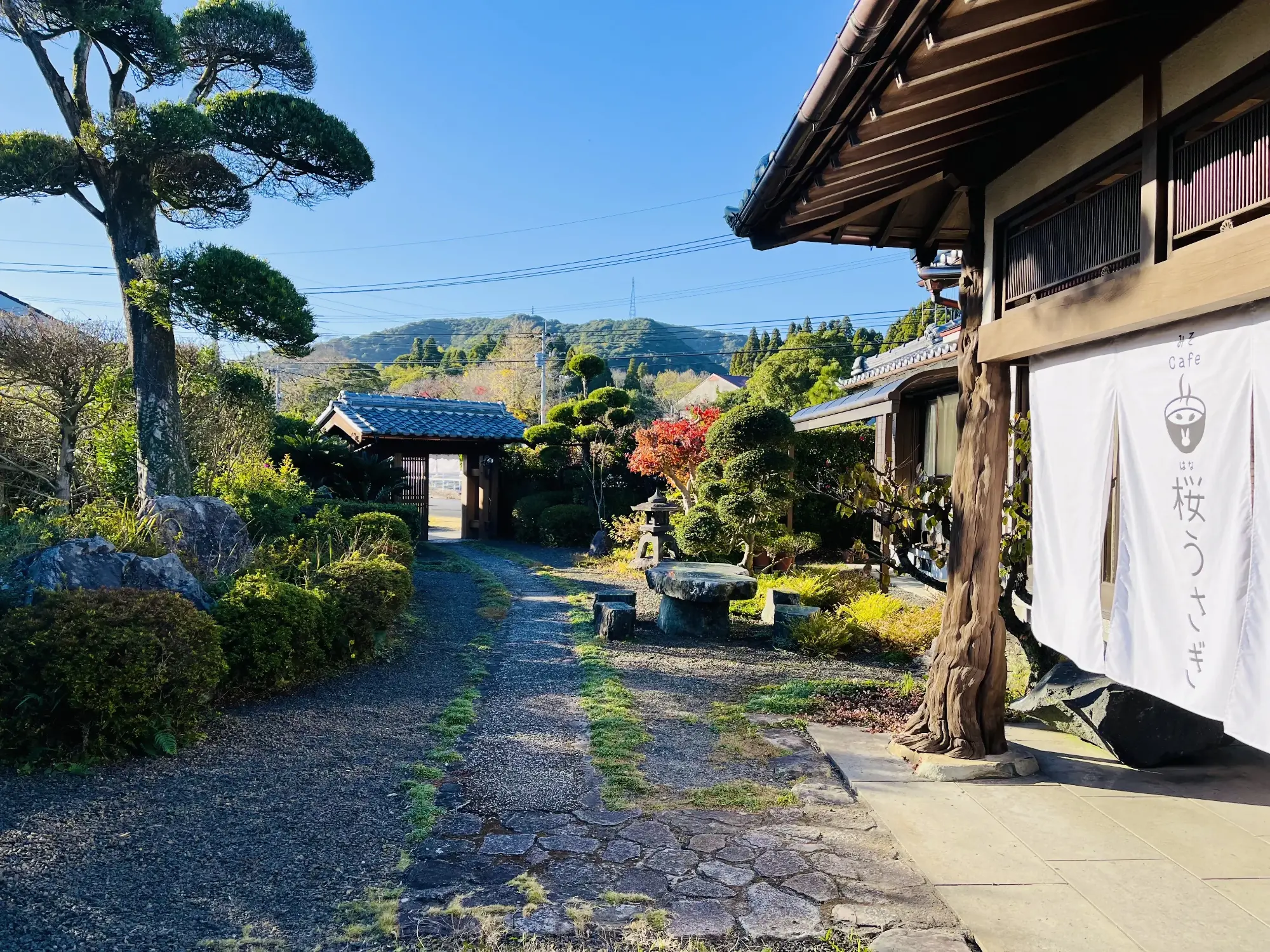 桜うさぎ提供の画像です。