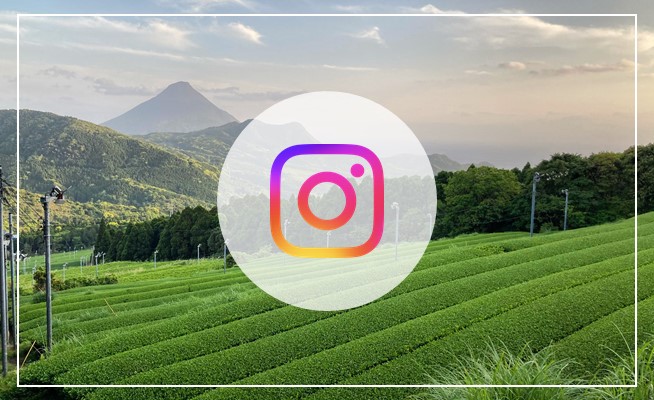 インスタグラム知覧茶の郷のバナーです。