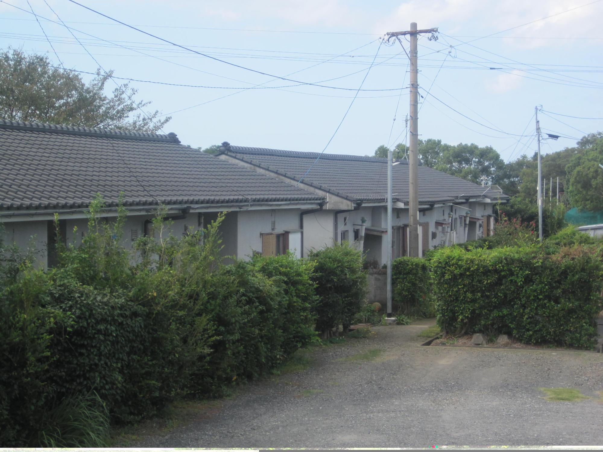 手前に砂利が敷かれたスペースと垣根があり、垣根の奥に平屋の市営住宅が2棟並んでいる写真