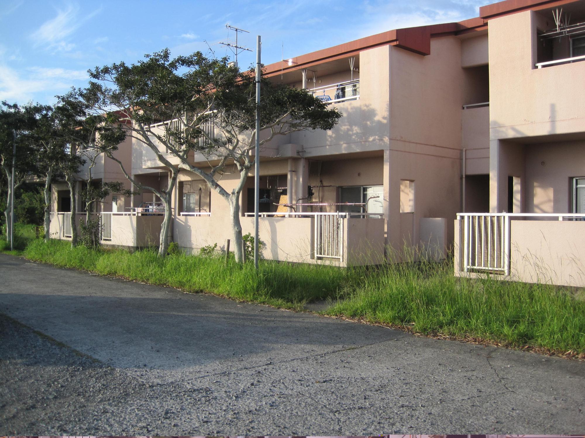 2階建ての市営住宅 公営ふもと尾鉢団地のベランダ側を道路から写した写真