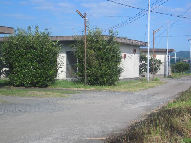 道路左側にある外灯の後ろに建っている白い外壁で屋根が平ら、1階建ての市営住宅 公営粟ヶ窪団地の写真