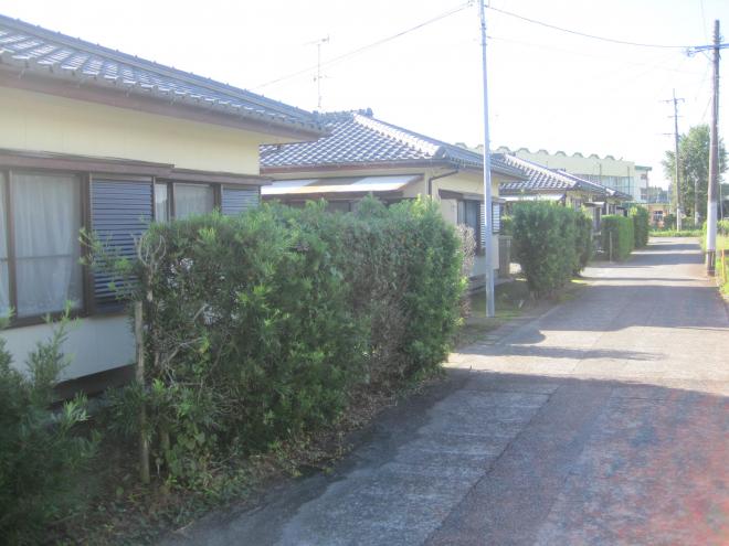 道路の左側に垣根があり、垣根の奥に瓦屋根の一軒家が3軒見えている市営住宅 公営松木団地の写真