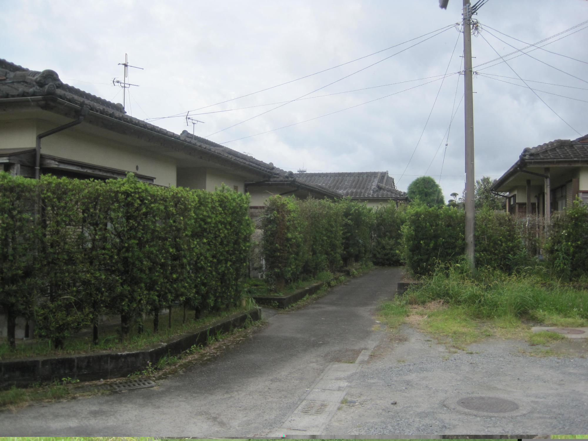 細い通路の両脇に垣根があり、垣根の奥に瓦屋根の1階建て住宅が数軒並んでいる市営住宅 公営中山田団地の写真