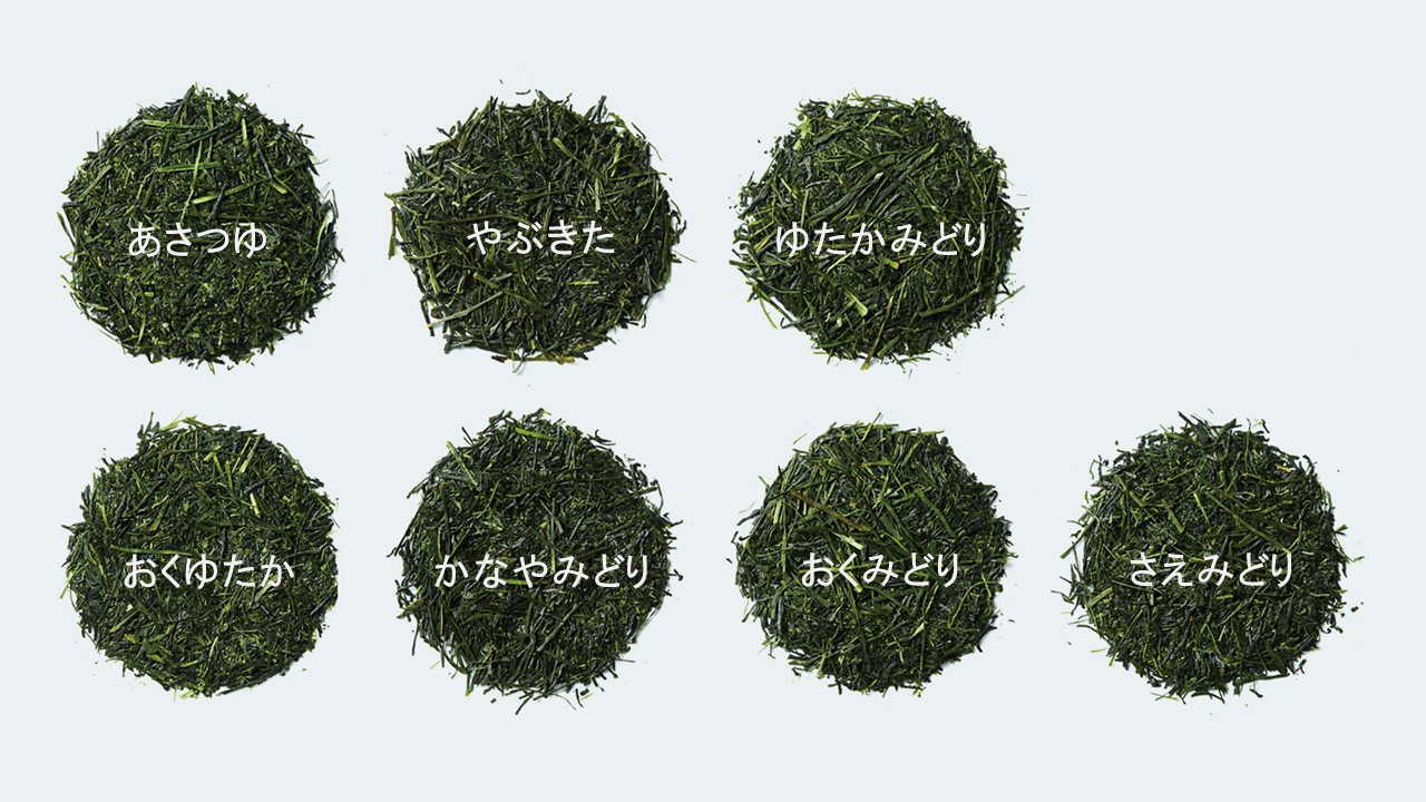 知覧茶の品種