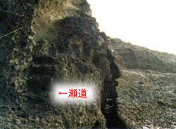海辺の大きな岩場にある潮道の場所を矢印で示した写真