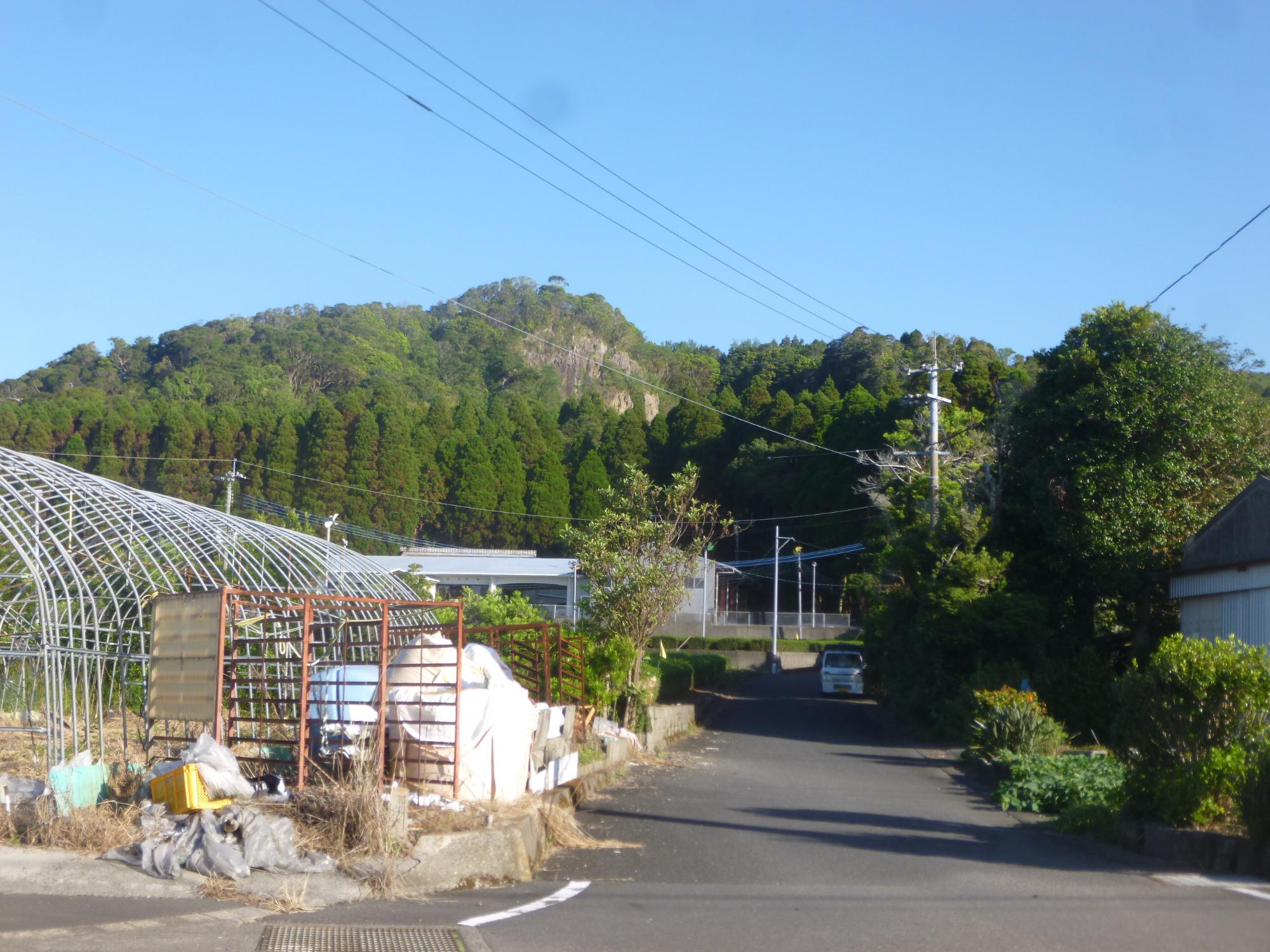 陣が岡