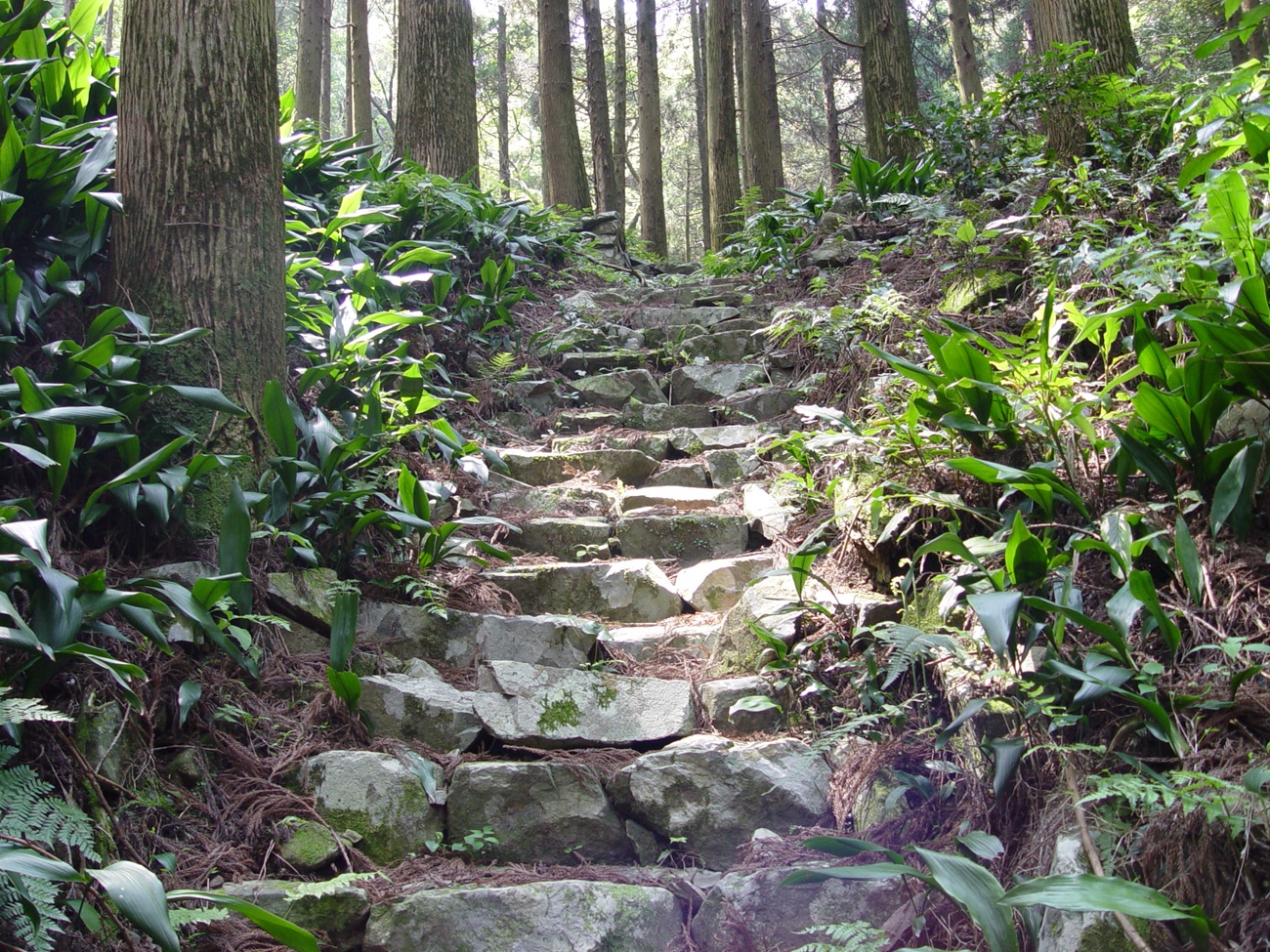 宝福寺跡