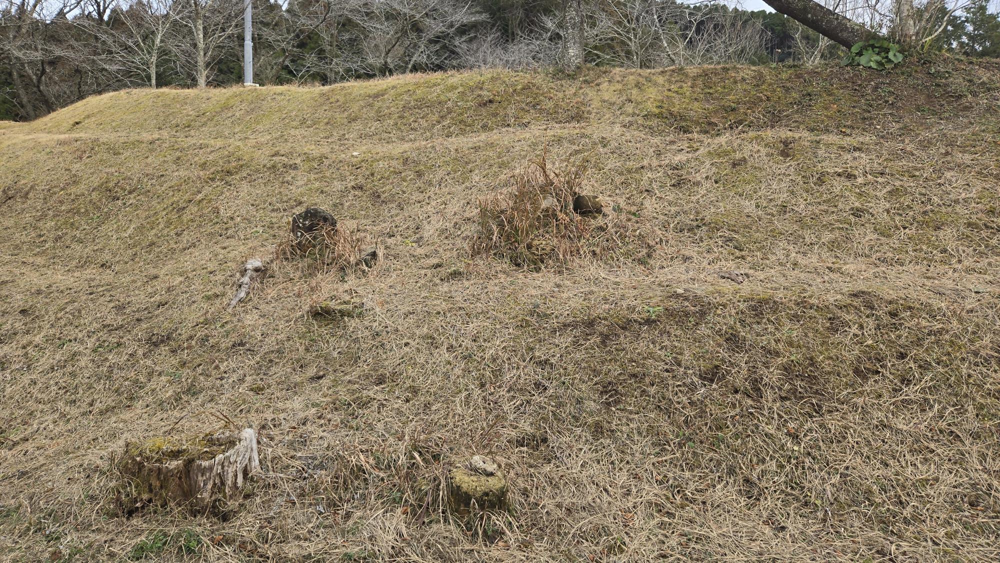 大久保阿弥陀堂石塔群