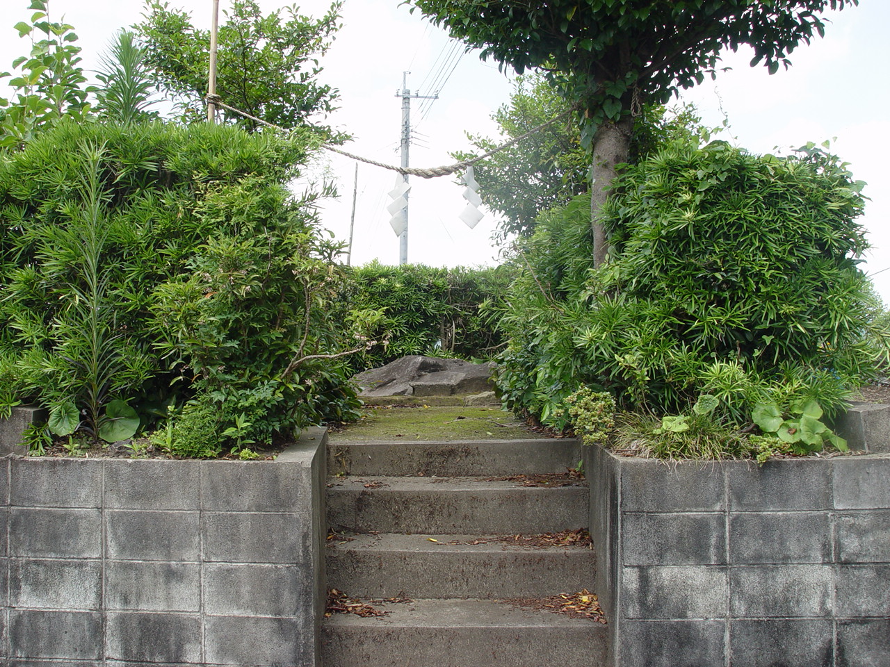 陵石全景