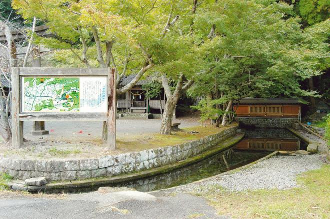 緑豊かな水元神社の敷地内の水路を流れる湧水と、水路のそばにある説明看板の写真