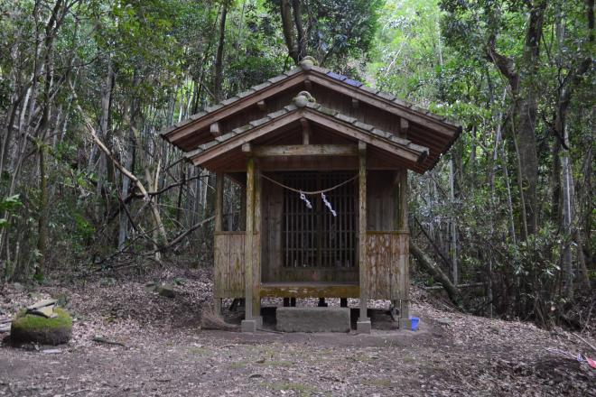 たくさんの木々が生い茂る中、静かに佇む宝光院跡地に設置された木造の不動堂の外観写真