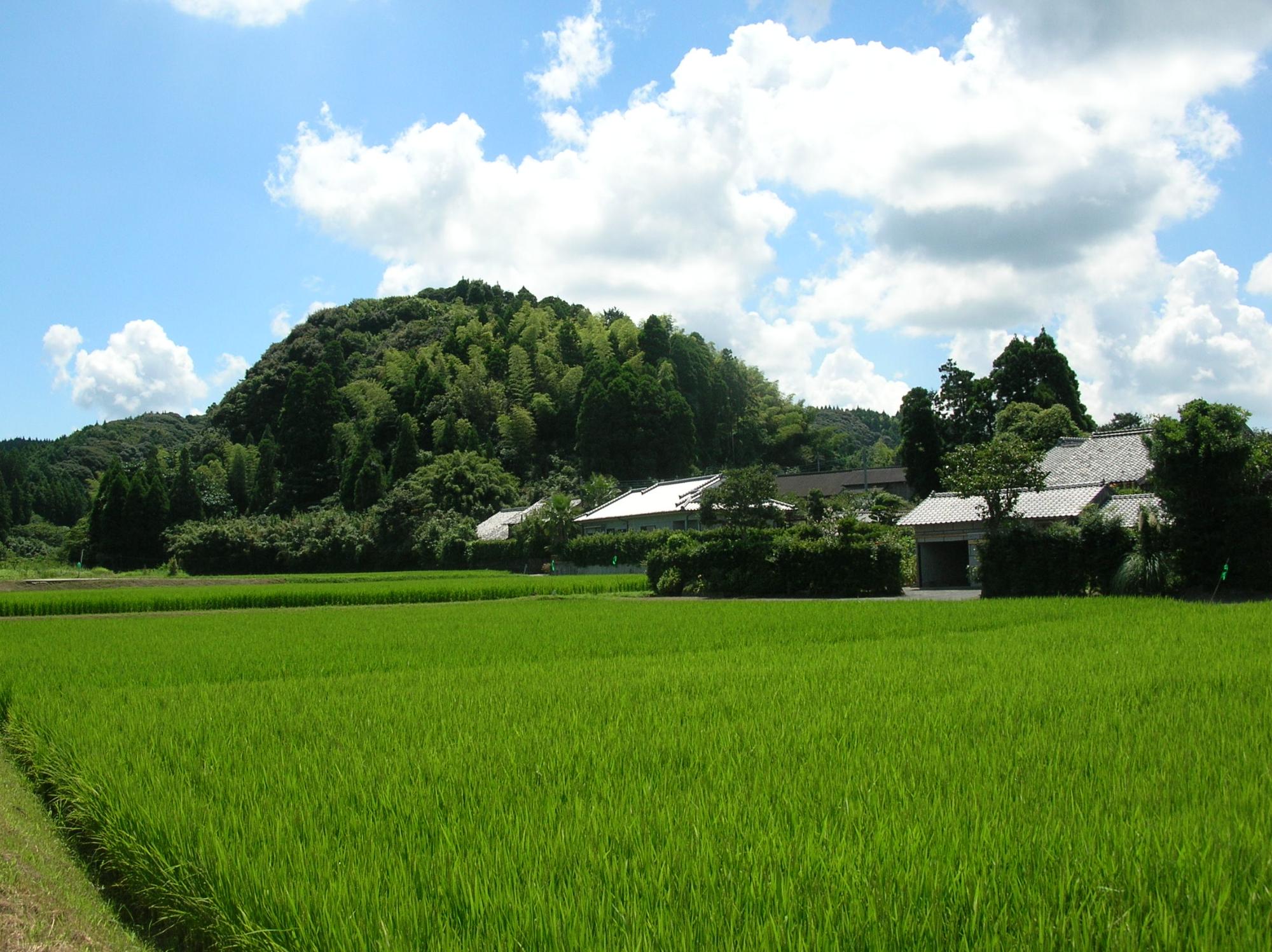 高田城跡の遠景