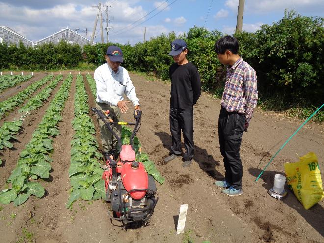 頴娃農業開発研修センターのキャベツ畑で、職員から管理機の使い方の指導を受ける2名の研修生の様子の写真