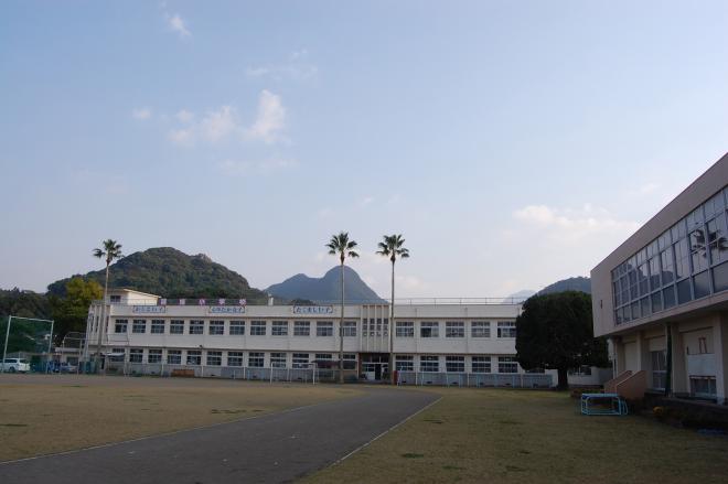 2階建ての校舎よりも背の高いフェニックスの木が3本たっており、運動場に面してL字型に校舎と体育館が立っている南九州市立頴娃小学校の外観写真