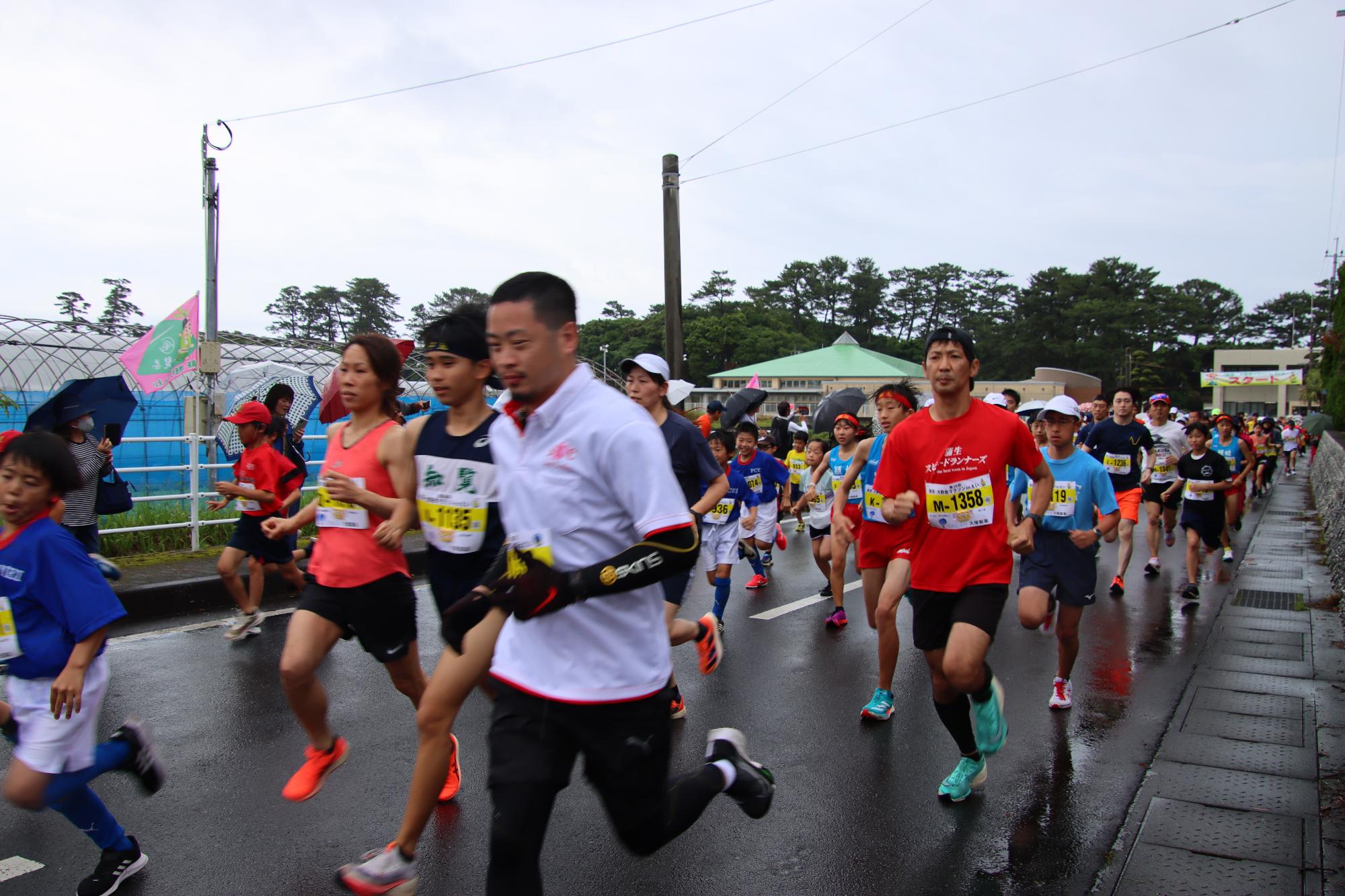 第36回新茶・大野岳マラソンinえいランナーの写真