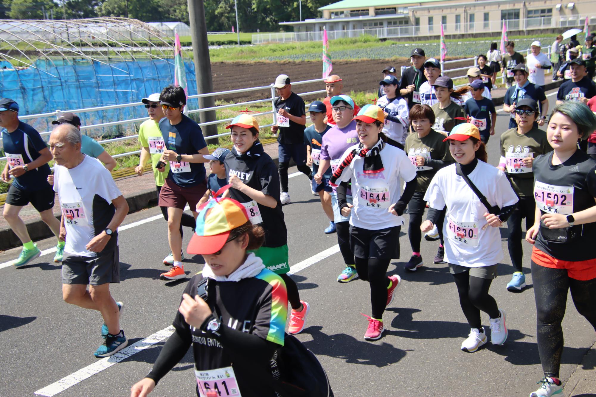 第37回新茶・大野岳マラソンinえいランナーの写真