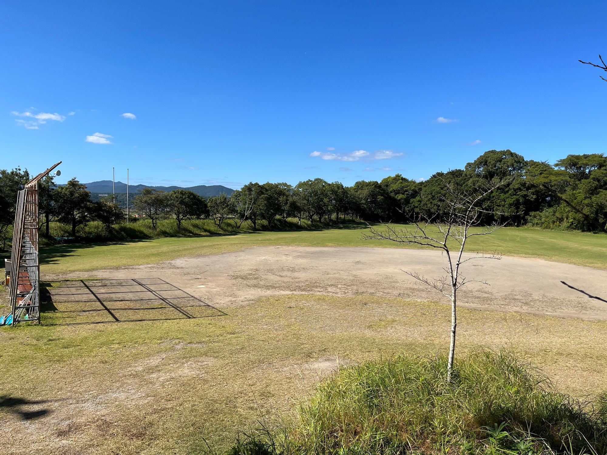 青々とした芝生が広がっている広場の周りには木立で囲まれている南九州市諏訪運動公園自由広場の写真