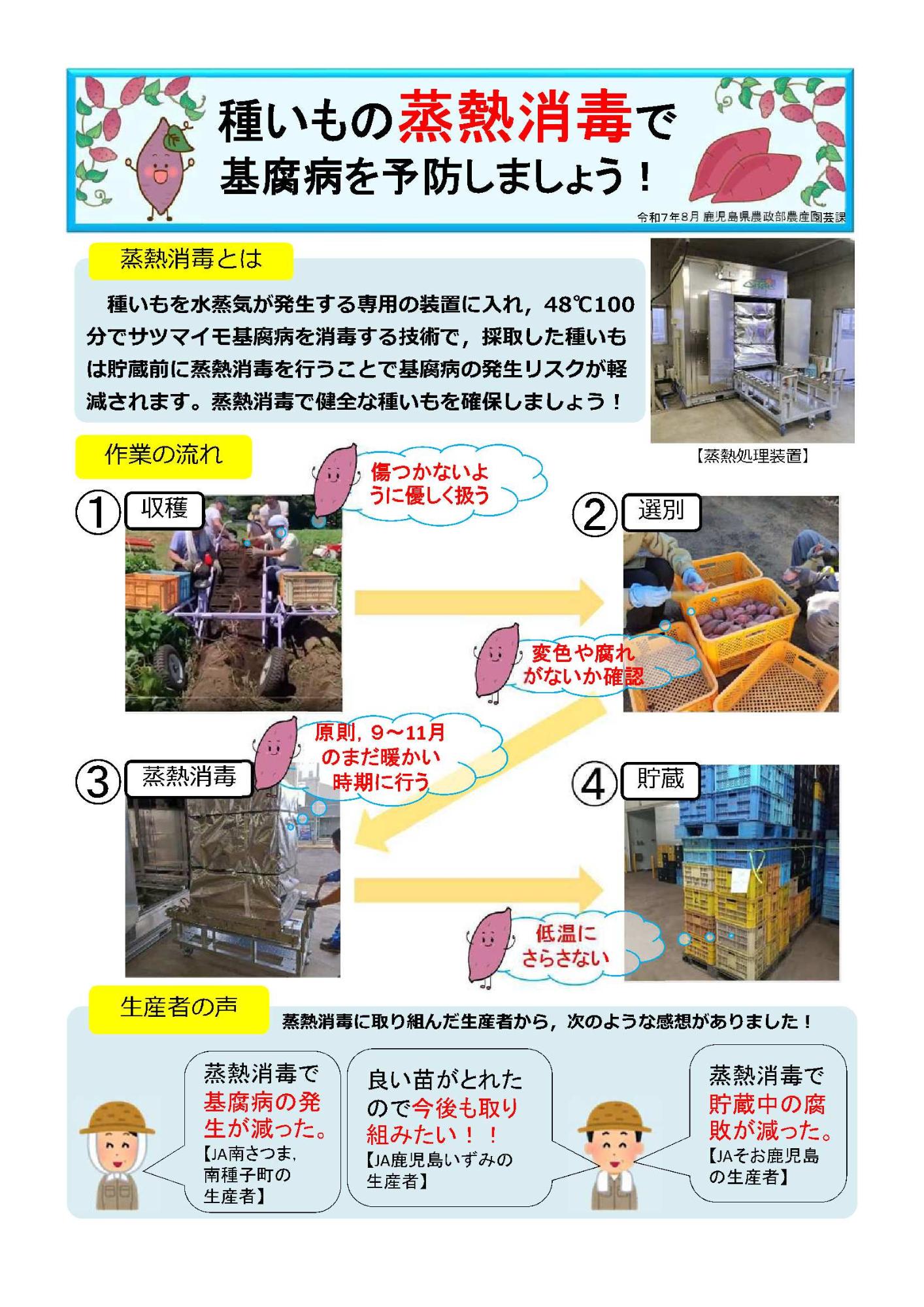 蒸熱消毒チラシ