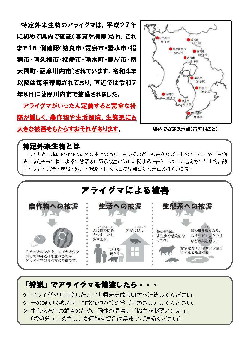 アライグマの情報提供のお願い（令和7年8月更新）