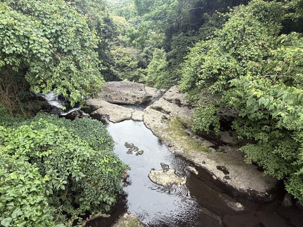 滝見橋からみた伊瀬知の滝（高取川）