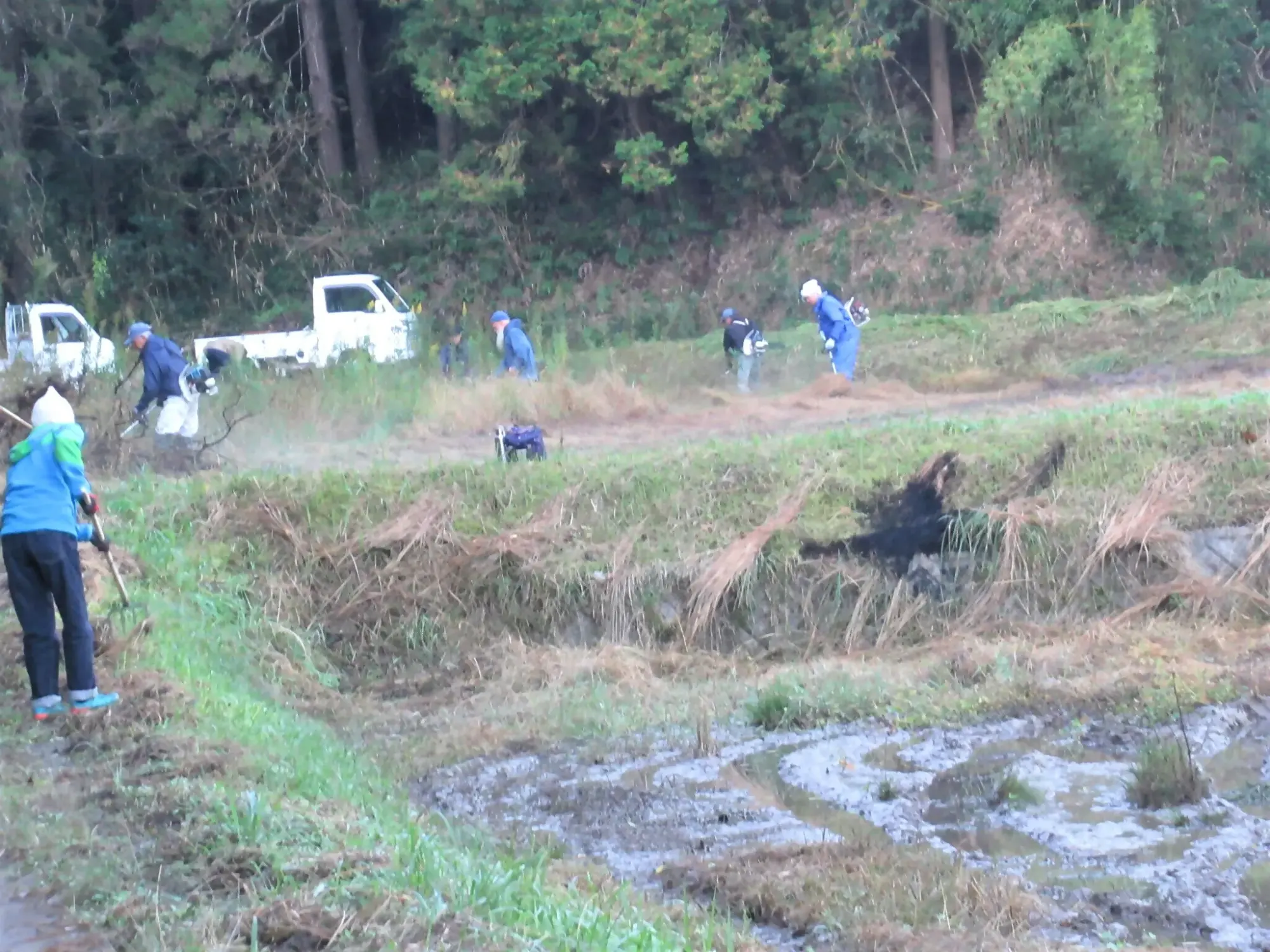 まちづくり大相撲～地域で支える農地再生 高田地区の耕作放棄地対策～