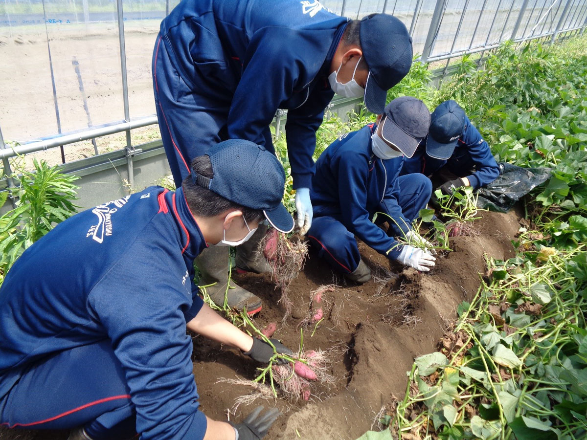 市内中学生の職場体験
