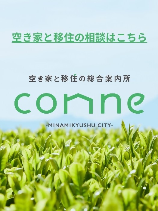 conneTOP sp