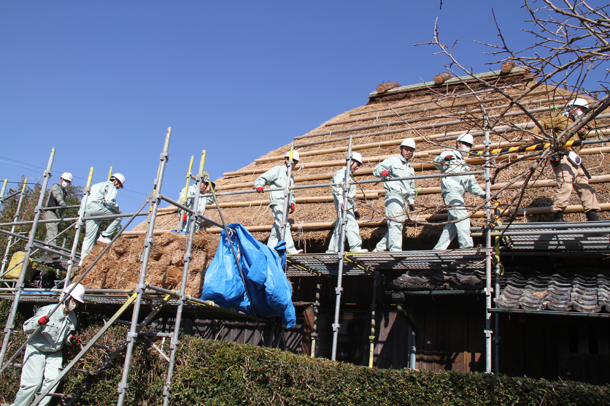 旧高城家住宅 茅葺屋根見学・体験会の様子3