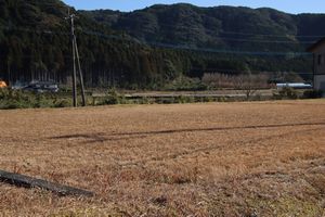 南野元住宅団地区画No.11