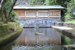 清水の湧水